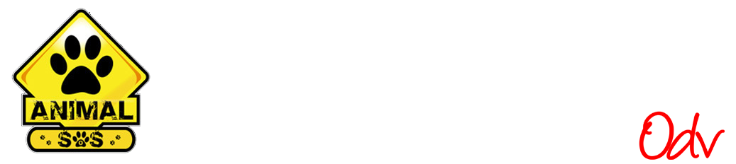 Animal SOS