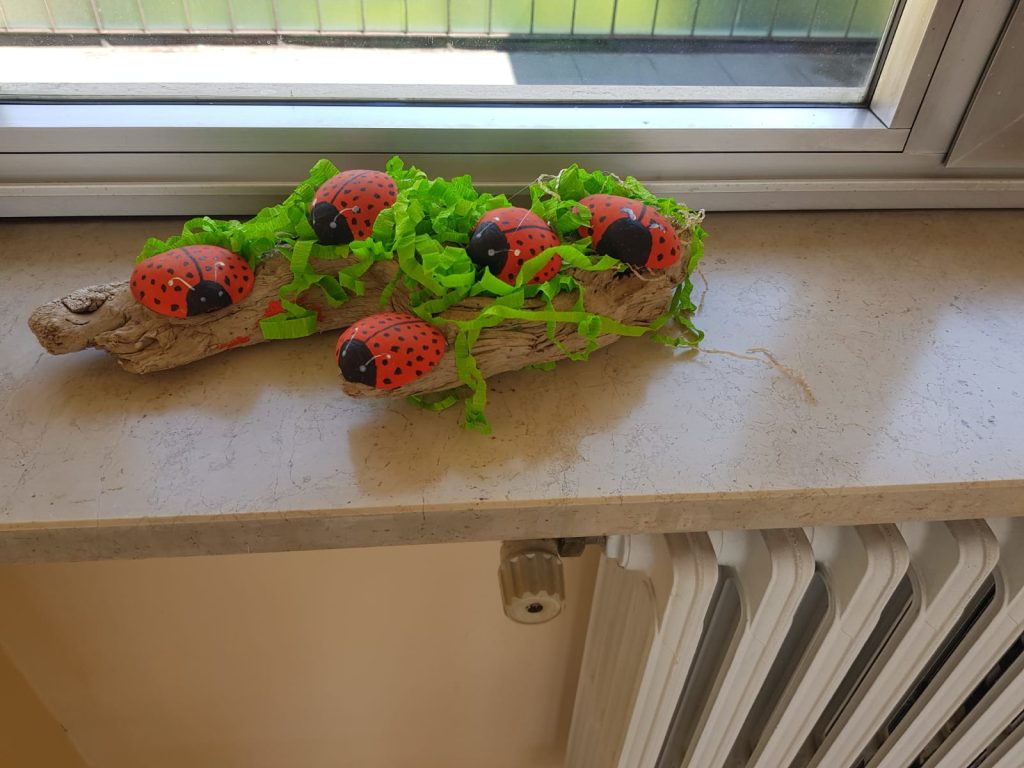1 coccinelle