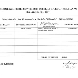 rendicontazione