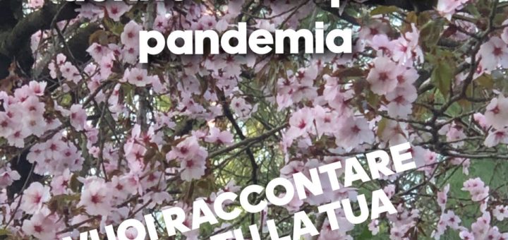 Chiama e lascia un messaggio al Circolo Conversazione Donne. Elena, Giovanna, Marcella, Monica e Rita ti richiameranno per darti un appuntamento telefonico. Telefono: 011 19117308.