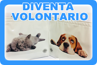 diventa volontario