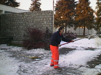 neve